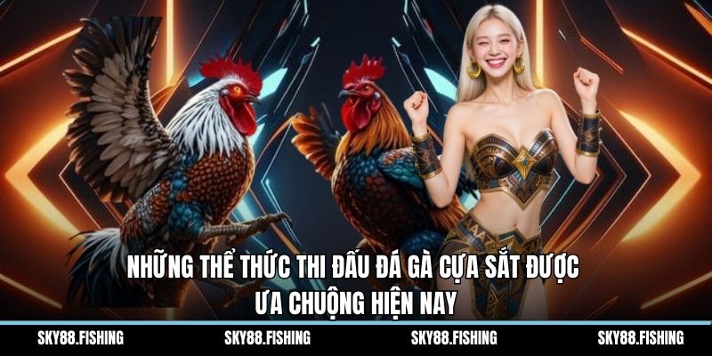 Những thể thức thi đấu đá gà cựa sắt được ưa chuộng hiện nay